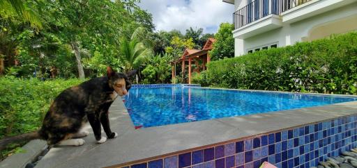 AnAn Boutique Bungalows with Private Kitchen - Housity