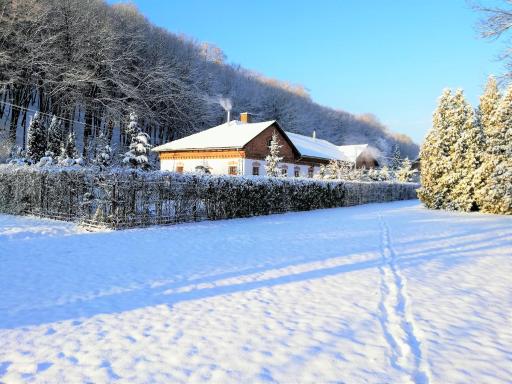 PARVA FORESTA - Housity