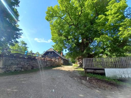 koča na pikovem - Housity
