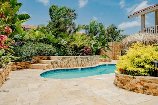 Charming 1-bedroom apartment 2 km from Eagle beach - Housity