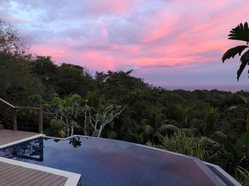 LUXURY OCEAN & JUNGLE VIEW VILLA at AVES RESORT - Housity
