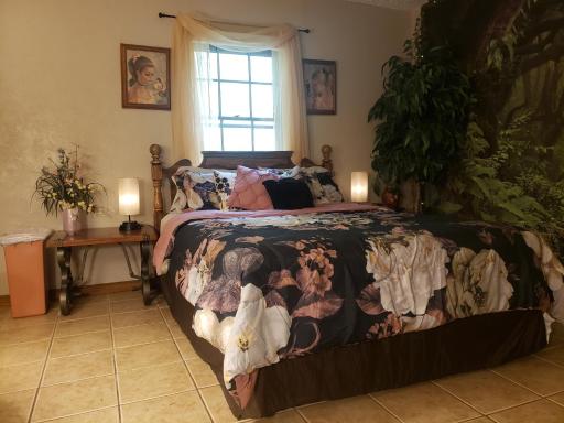 Cute Forest Themed Room With Kitchenette & Wifi - Housity