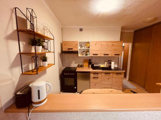 Apartamenty KTW Park Śląski Luksusowy PRL - Hizvo