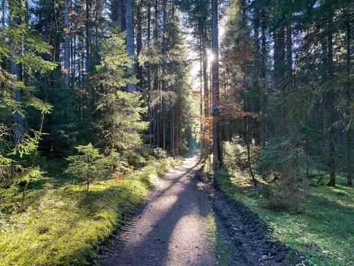Ferienwohnung Waldblick - Housity