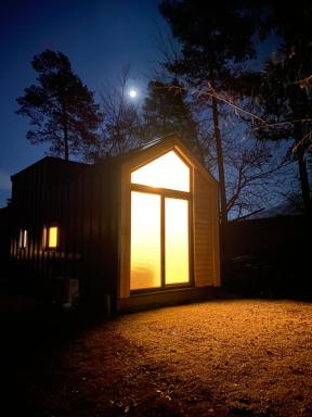 Woody Cutie - Housity