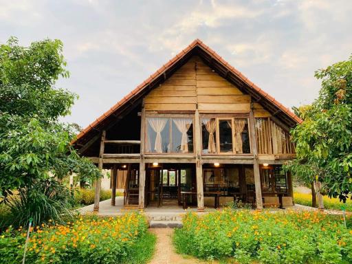 HappyZen Farm - Hizvo