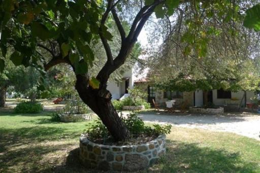 Traditionelles Appartement ATHOS SHADOW am Meer - Housity