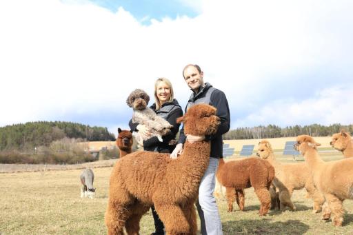 Sun Star Chalet Holzblockhaus auf der Alpakaweide - Housity