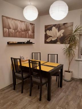 Apartment Riegerovka - Housity