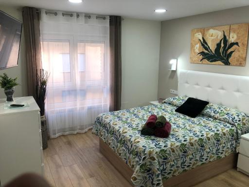 Piso céntrico León 2 - Hizvo
