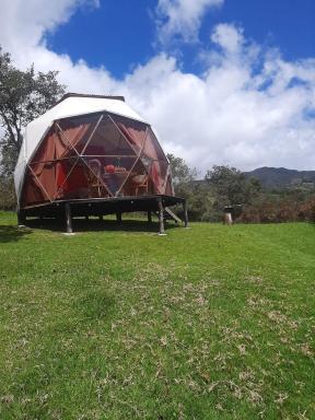 Glamping Mi Casita - Housity
