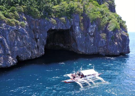 The Shark's Tail Dive Center - Housity