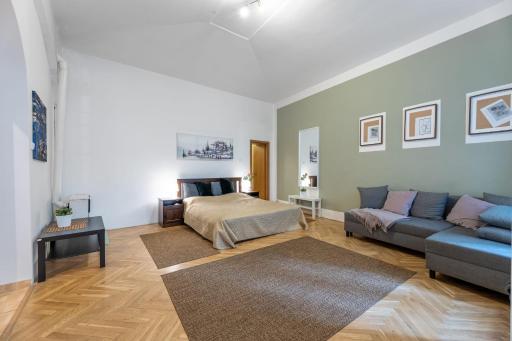 Spacious 3 bedroom apartment in the Heart of Prague - Housity
