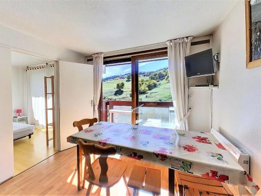 Appartement lumineux 2 pièces, balcon, pied des pistes - FR-1-267-239 - Housity