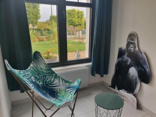 LES STUDIO DE KATE. LE JUNGLE - Housity