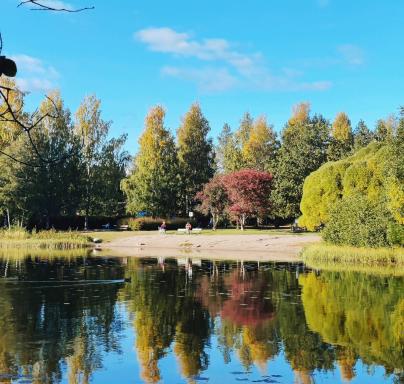Joutjärven Studio Apartment - Housity