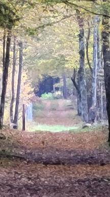 In Nature - Housity