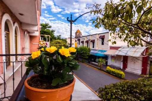 Habitación privada en el centro de Tequila - Housity