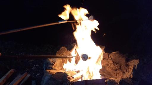 Glamping Tambores - Housity