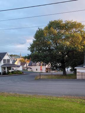 Mainly Acadia - Housity