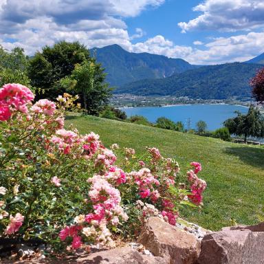 AGRITUR SEDICI - Bed and Breakfast - Housity