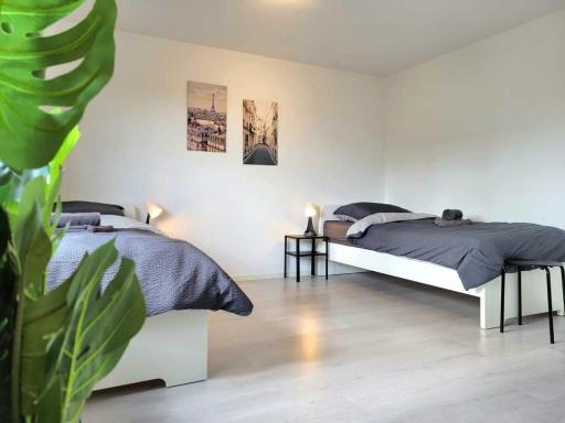 Cozy & Modern 4 Room Flat near Hanau - Housity