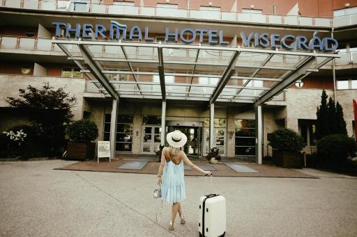 Thermal Hotel Visegrád - Housity