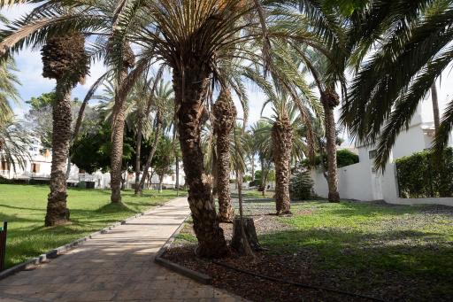 Beautiful duplex in 3 minutes walking to the beach in Playa de las Américas - Housity