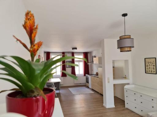 Cityappartement am Bauhaus-Museum - Hizvo
