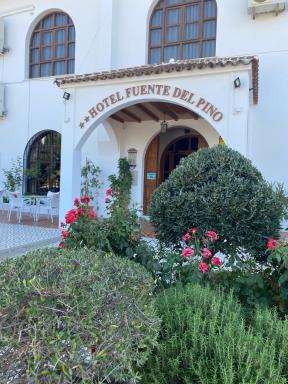 Hotel Meson Fuente del Pino - Housity