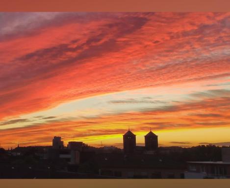 Apartment 16 - Housity