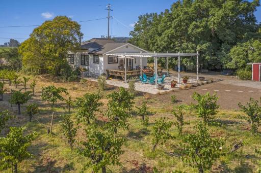 Wine Country Cottage, 2bd 1ba Healdsburg, SPA, Fire pit, WiFi cottage - Housity