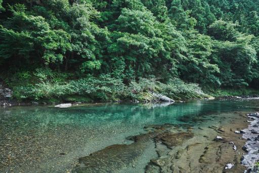 Kumano shiki-tei - Vacation STAY 05155v - Housity