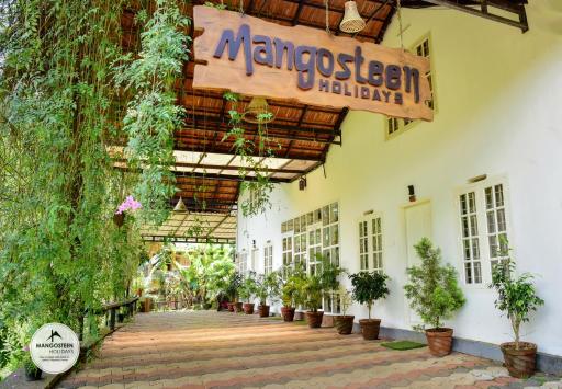 mangosteen holidays - Housity