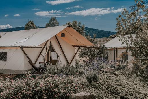 Salterra Glamping - Housity