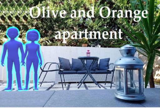 Olive and Orange Apartment - Housity