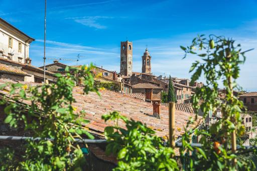 Casa Grinta B&B - Housity