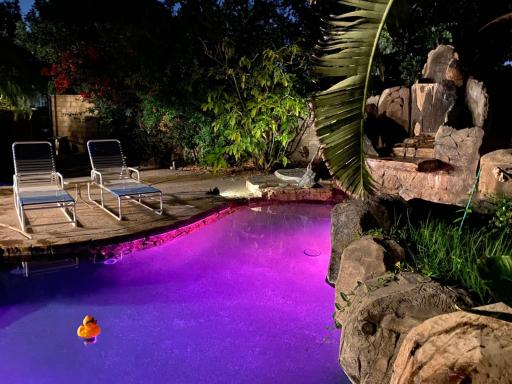 Cozy room with swimming pool - Housity