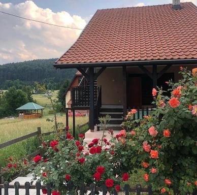 Apartman IZVOR Tara - Housity