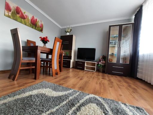 Słoneczny Apartament w Busku-Zdroju - Housity