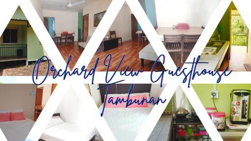 Orchard View Guesthouse Tambunan - Housity