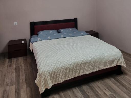 Затишна квартира в центрі міста - Housity