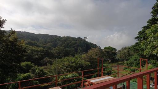 Monteverde Monkey's Home - Housity