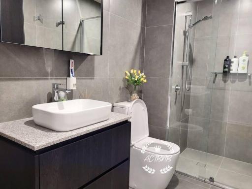 Modern new 1-bedroom apartment in Canberra City - Housity