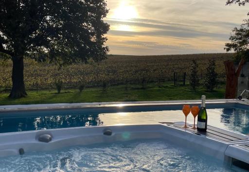 Best view, pool and spa on the Champagne vineyard - Housity