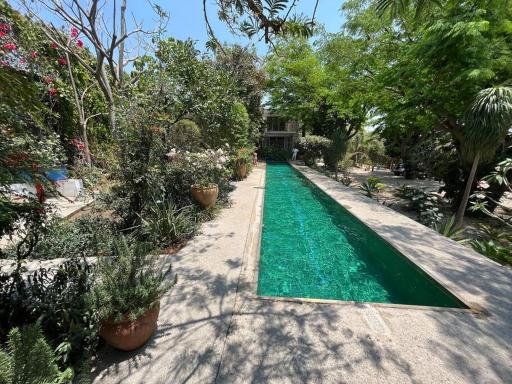 Casa Acacia Tepoztlán - Housity