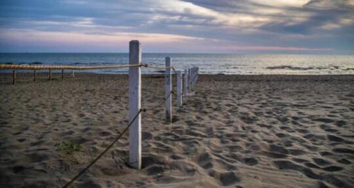 Incantevole appartamento a Torvaianica - Housity