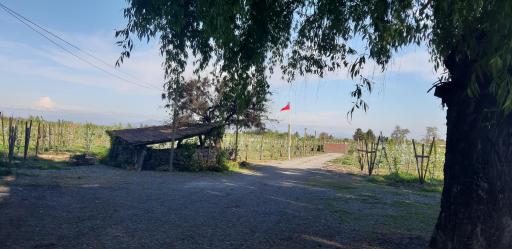 El Carmen de Los Guindos, Las Choicas, Curicó - Housity