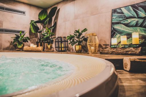 TatryTop Apartamenty Alpejski SPA - Housity
