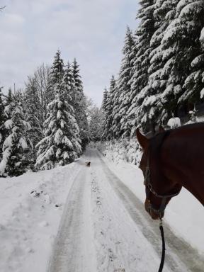 Statek U Rajmunda zemědělská farma - Housity